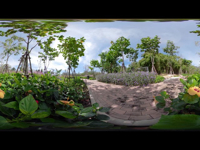 VR Getaway to Thailand The Flowers at Khao Yai Winery VR Getaway Part One