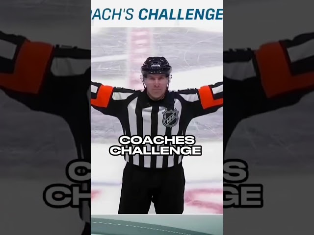 things ea should add to NHL 24 #trend #goat #viral #blowup #edit #w #clips #nhl