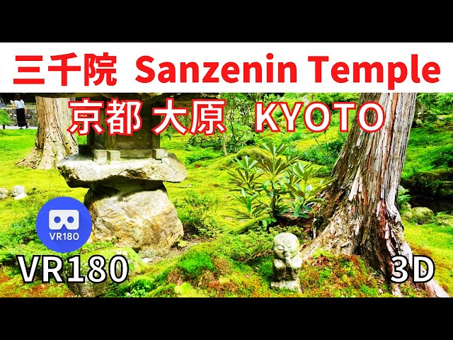 VR180  Japan KYOTO Ohhara Sanzenin Temple Japanese Garden 京都 大原 三千院 日本庭園