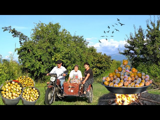 FRUIT HARVESTING in the Forest | Plum Cake and Juice Recipe by Sweet Grandma