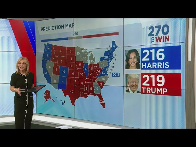 2024 election hangs in swing state battlegrounds: Polls