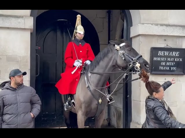 LIVE 24/7: EXPERIENCE THE SPECTACLE FROM LONDON'S KING'S HORSE GUARDS