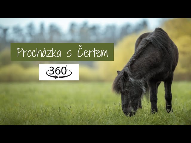 Procházka s Čertem | 360° video | EquiStella