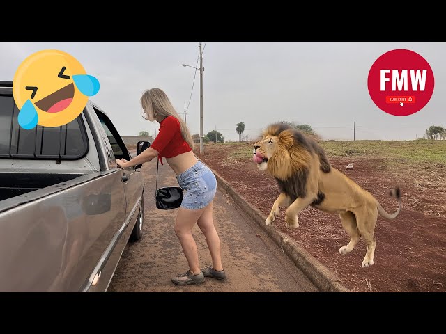 Funny & Hilarious People's Life 😂 #224 - Try not to Laugh | Instant Regret Fails Compilation 2024