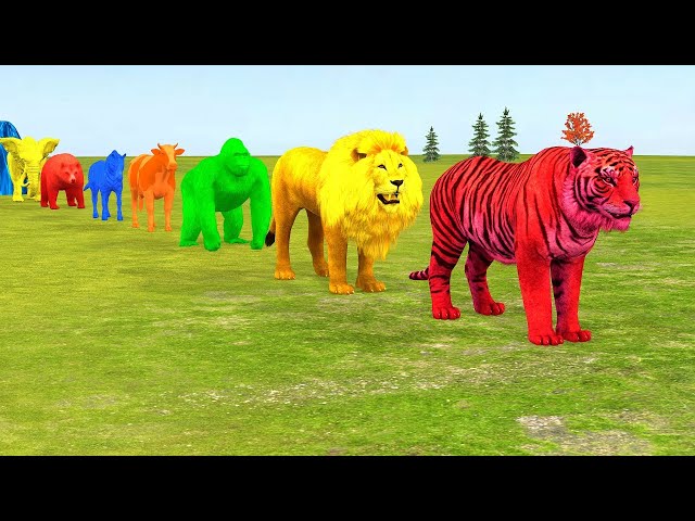 Long Slide Game With Elephant Gorilla Buffalo Hippopotamus Tiger - 3d Animal Game - Funny 3d Animals