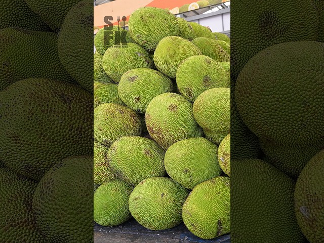 Giant Fruit! Thai Jackfruit Cutting Skills #streetfoodking #sfk #thaifood