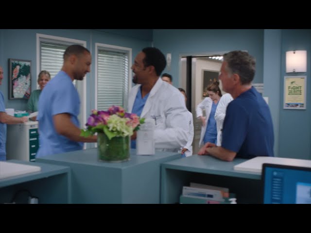 Mr. Doctor Bailey? | Grey's Anatomy