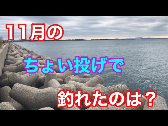 11月のちょい投げで釣れたのは？三河湾 キス釣り ハゼ釣り