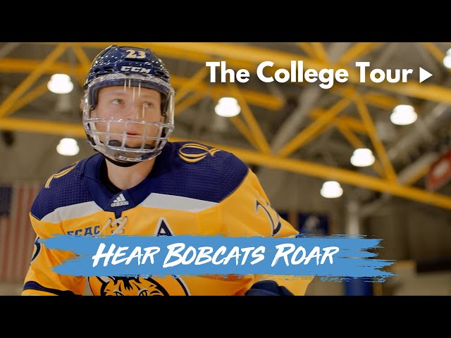 Quinnipiac University- Athletic Spirit Runs Deep | The College Tour