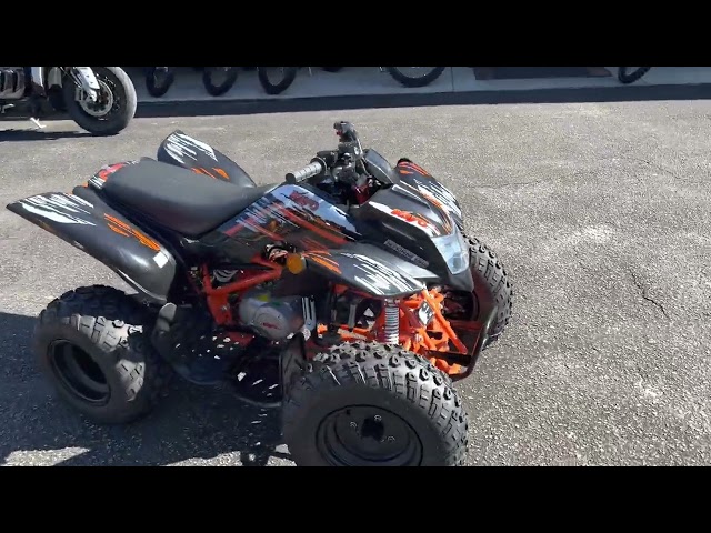 Kayo Predator 150 -- Florida Motorsports -- 850.575.0305