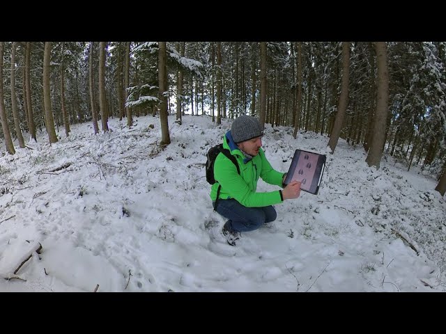 teach360.at: Im Wald - Spuren im Schnee