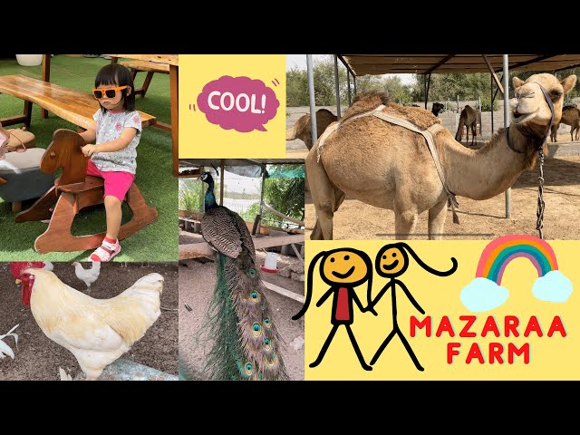 123 Go Kids - Family activity, Visit to Mazaraa Farm - chicken, peacock, duck, cow, camel, horse