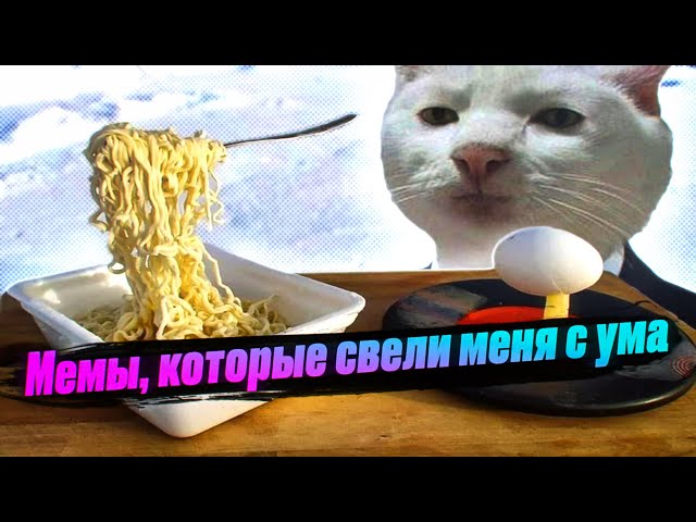 Мемы, которые свели меня с ума. Лютые приколы