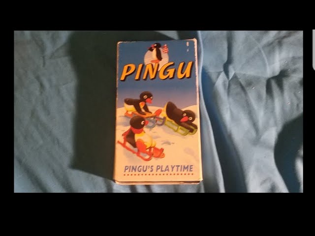 pingu (360 video)