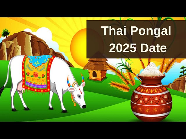 Thai Pongal 2025 Date - When is Thai Pongal 2025 Date - Happy Thai Pongal 2025 Wishes