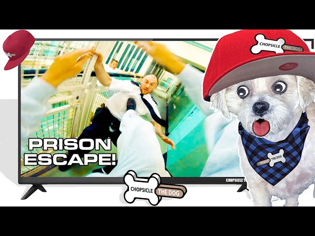 Parkour Prison Escape Pov is Insaine! (Reaction)