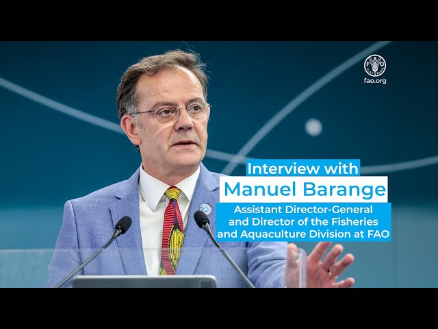 Improving safety at sea: Interview with Manuel Barange