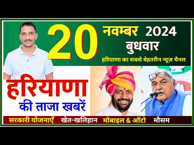 20 November 2024 Haryana News || हरियाणा की ताजा खबरें || Haryana Live News || CWB Hindi News