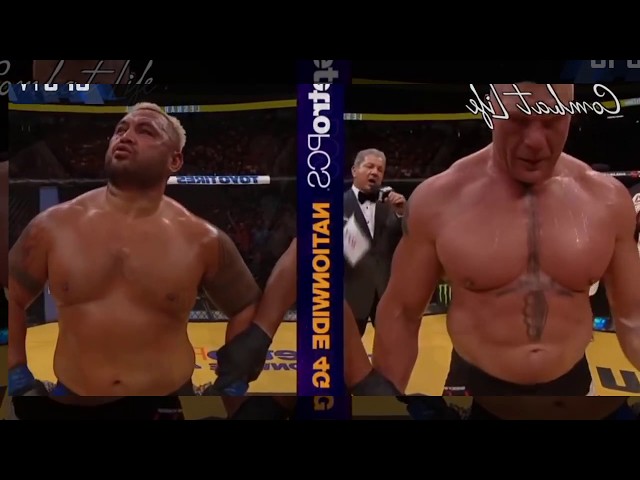 brock lesnar top 5 beating in ufc mouling opponents