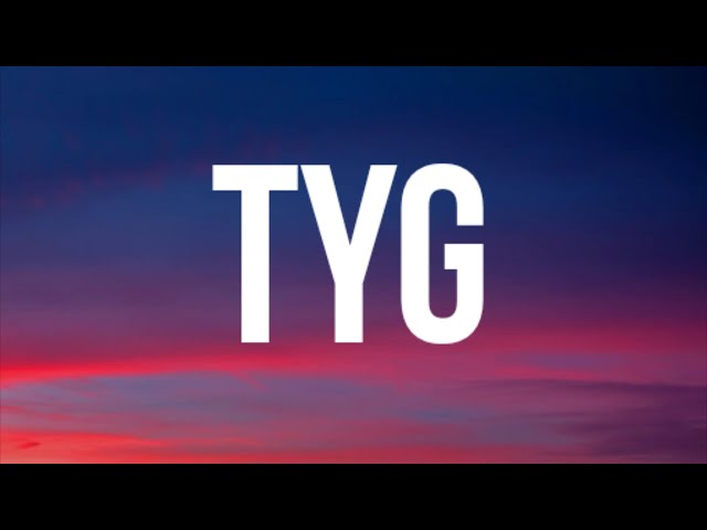 Megan Thee Stallion - TYG (Lyrics)