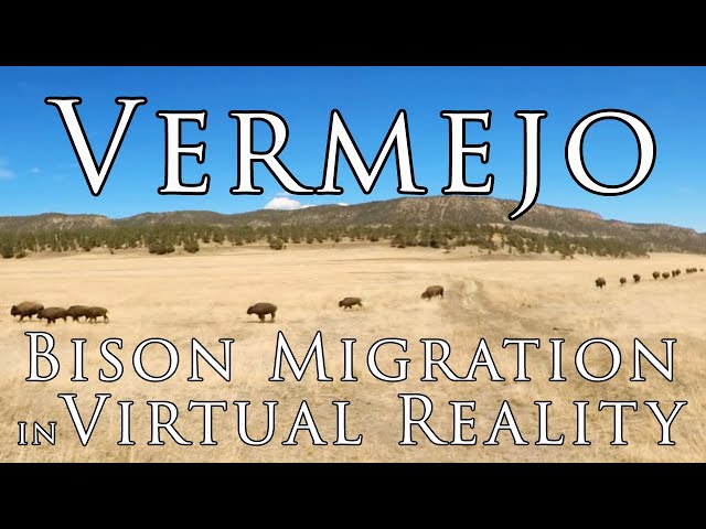 Vermejo in VR - Bison Migration at Vermejo, a Ted Turner Reserve in Virtual Reality 5.7k 360º