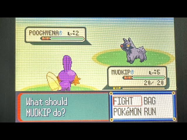 Shiny mudkip after two and a half months of shiny hunting!!!!!