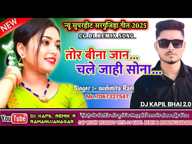 Tor Bina Jaan Chale Jahi Sona || Singar :- sushmita Rani || New Cg Song 2024 || Dj Kapil Bhai 2.0...