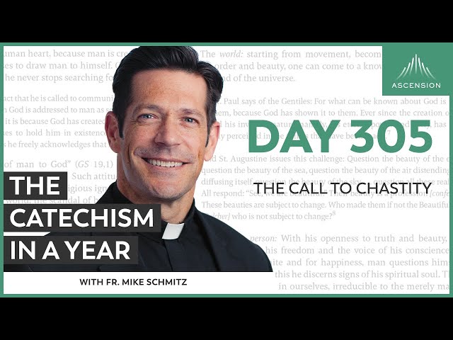 Day 305: The Call to Chastity — The Catechism in a Year (with Fr. Mike Schmitz)