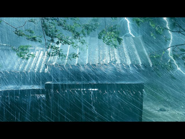 Heavy Rain on Tin Roof for Sleeping - Thunderstorm Rain Sounds on Metal Roof at Night for Deep Sleep