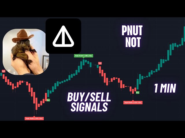 Pnut & NOT Coin | Trading signals 1 min | Crypto Trading Indicator #pendle #not