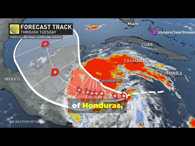 Tropical Storm Sara  Critical Updates You Need to Know Now 🌪️