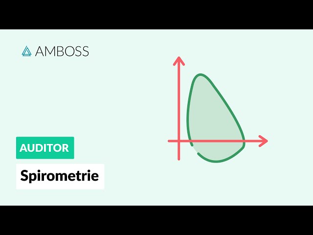 Spirometrie - Ablauf und Messwerte - AMBOSS Auditor