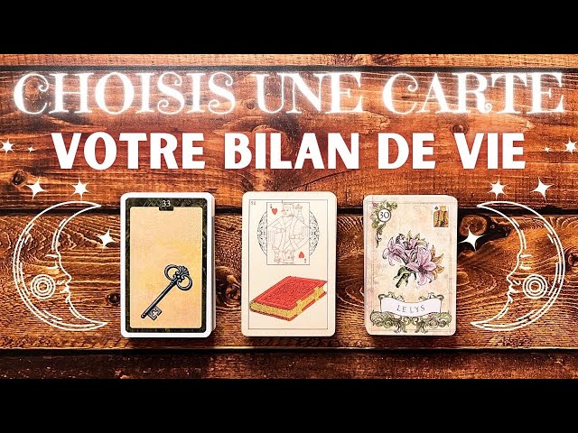 VOTRE BILAN DE VIE (Carrière, Amour, Argent, Entourage) 🔮 3 CHOIX ✨ INTEMPOREL