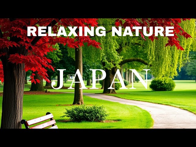 REFRESHING BEAUTIFUL NATURE JAPAN 4K||#travel#explore#nature