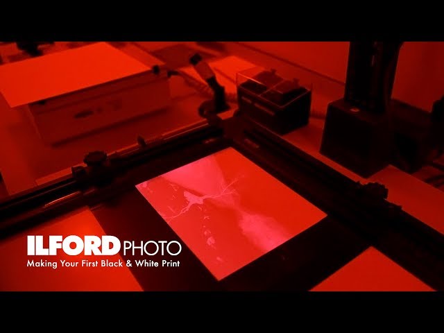 Making Your First Black & White Darkroom Print