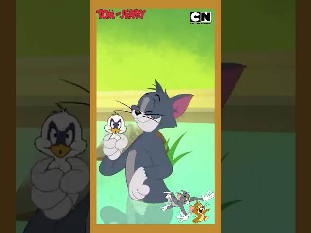 Tom & Jerry 😺🐭| Daring Jerry to the Rescue 🛟 | #funnyvideo 😆| #shorts | #cartoon | @cnindia