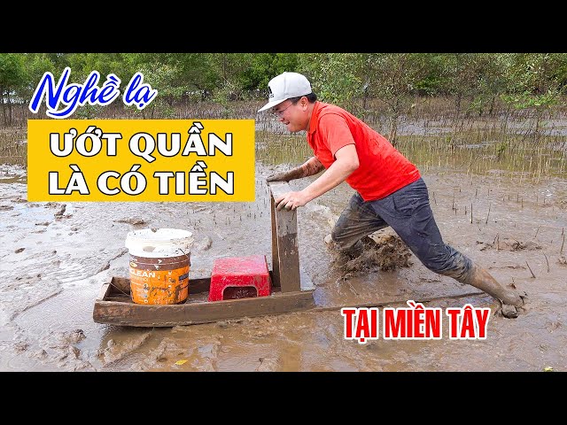 STRANGE JOB IN VIETNAM | Discover Catch Fish in the mud with a Surfboard on the Beach