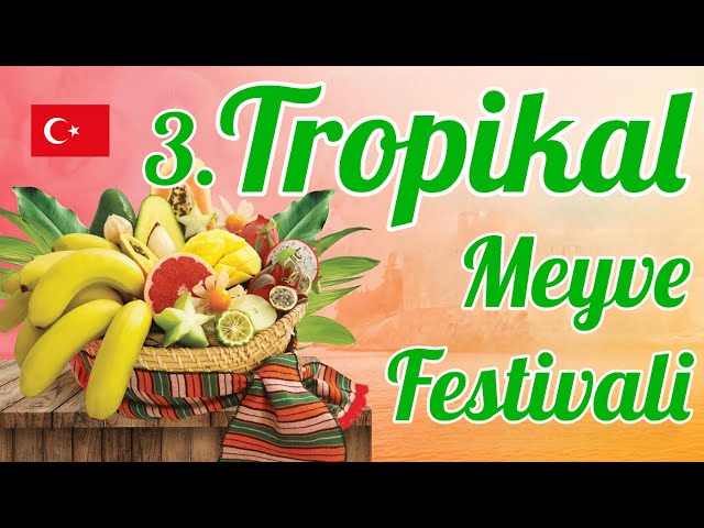 3. TROPICAL FRUIT FESTIVAL 2024 walking tour | 🇹🇷 ALANYA  tropikal meyve festivali