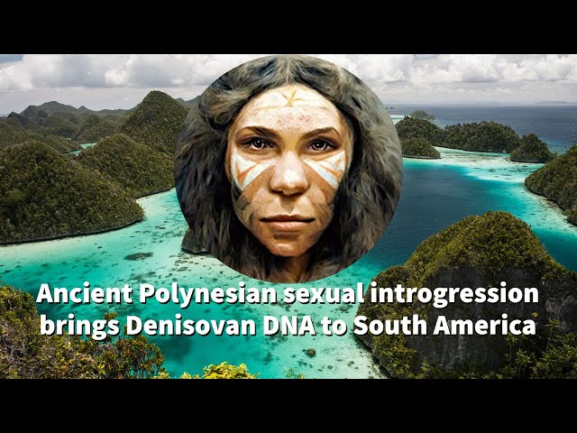 Denisovan DNA introgression in ancient Brazil tribes