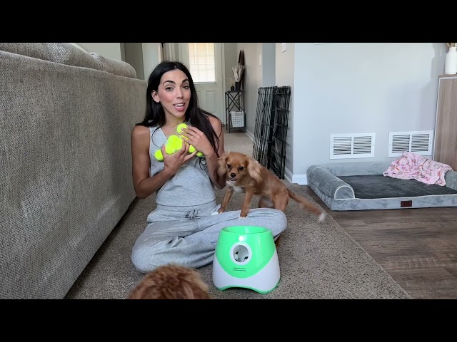 Review of YXX-TECH Automatic dog ball launcher