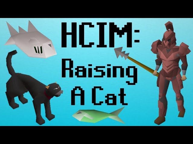 [OSRS] HCIM 5: Raising A Cat (709/2277)