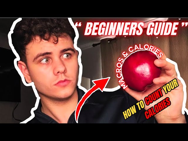 How to Count Your Calories for Beginners