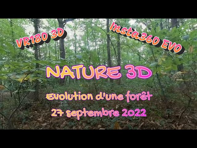 2022 - VR180 3D - NATURE - #9 - Evolution d'une forêt -  27 septembre -  Insta360 EVO - 4k