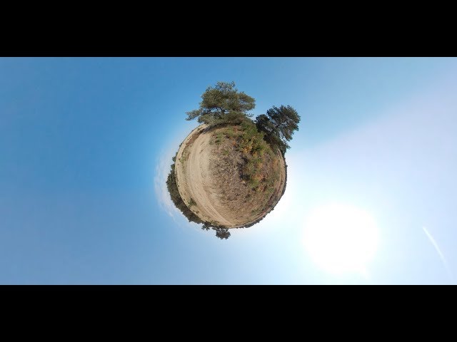 Immersive Nature Experience: Hoge Veluwe National Park (Netherlands) in 360° VR 4K