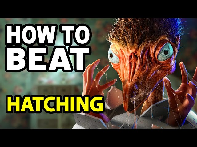 How to Beat the ANGRY BIRD in HATCHING