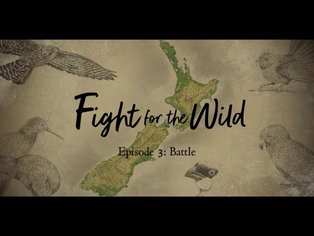 Fight for the Wild | 3: Battle | RNZ