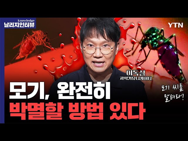 집안 점령한 ‘가을 모기’ 극성...멸종시킬 방법은 수컷의 '생식 기능' 제거? [에디터픽] / YTN