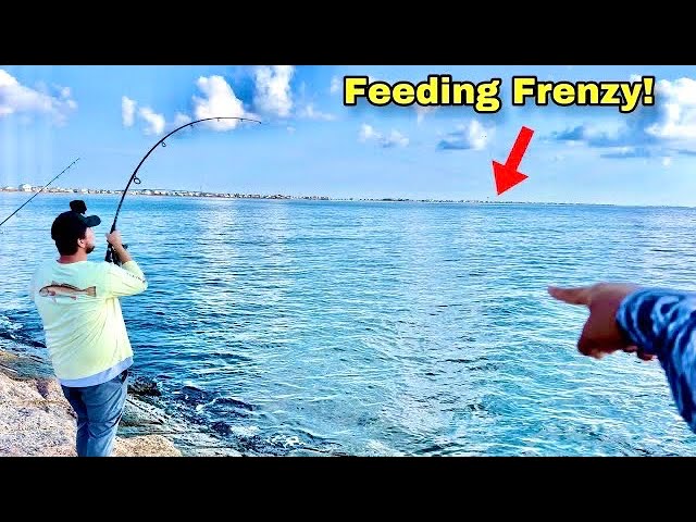 Fishing Surfside JETTY for BIG FISH!