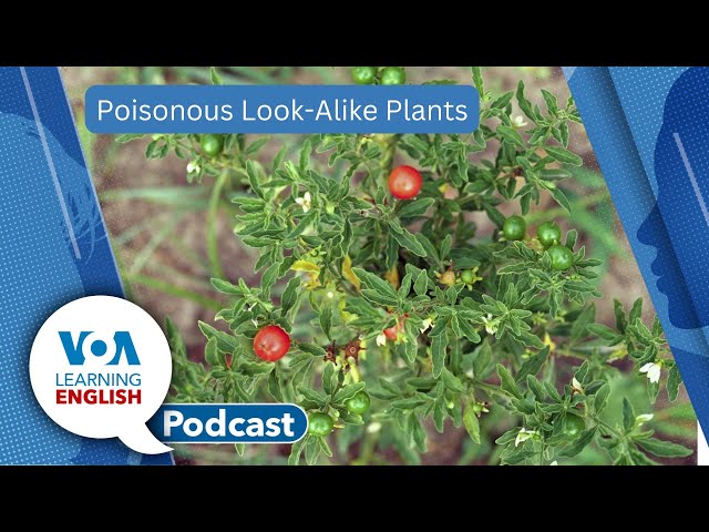 Space walkers return, Poisonous plants, Using “tons of”