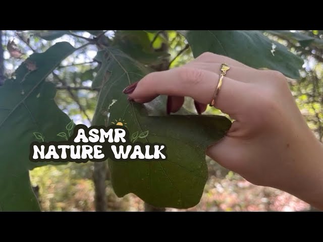 ASMR Nature Walk Tapping & Scratching☀️🪷🌲🦋 No Talking